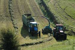 Silaging